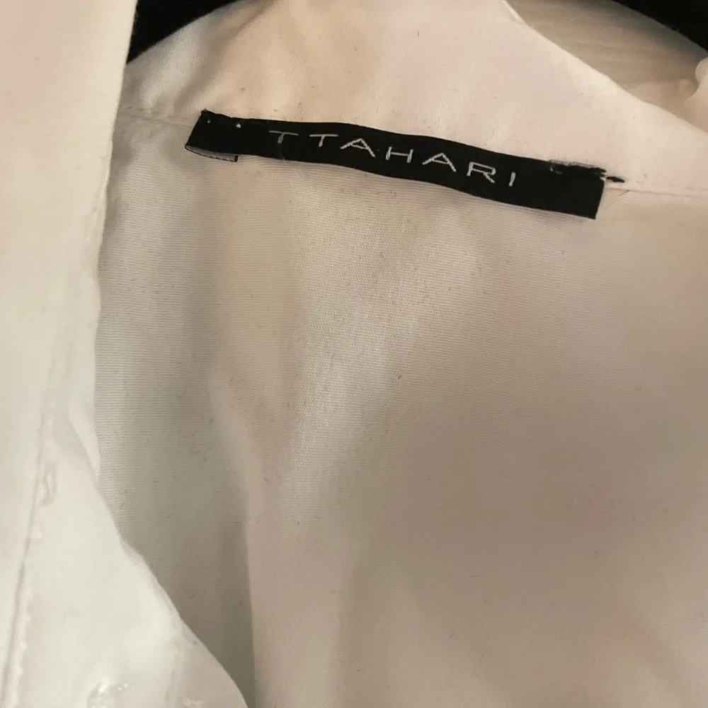 Tahiri sleeveless button down - Picture 4 of 5